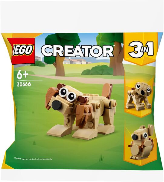 LEGO® | Creator  Geschenkset mit Tieren | 30666