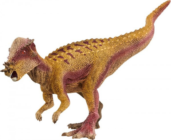 Pachycephalosaurus | 15024