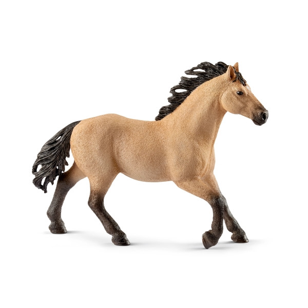 Lego | Quarter Horse Hengst | 13853