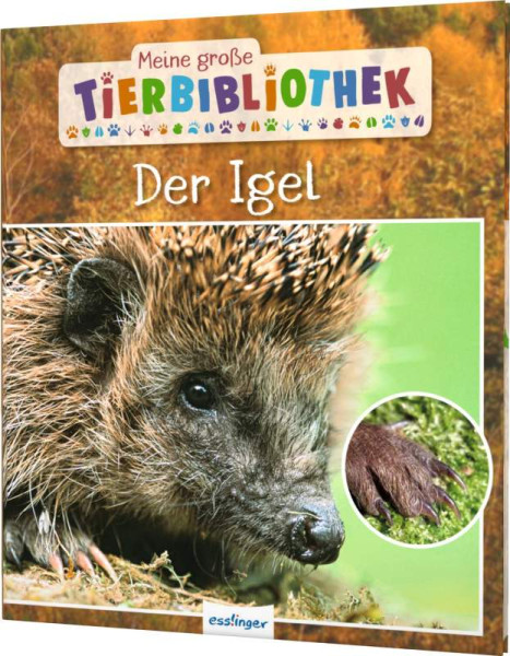 Esslinger in der Thienemann-Esslinger Verlag GmbH | Meine große Tierbibliothek: Der Igel | Tracqui, Valérie