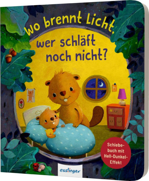 Esslinger in der Thienemann-Esslinger Verlag GmbH | Wo brennt Licht, wer schläft noch nicht? | Kiel, Anja